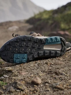 adidas Terrex Brown Anylander Hiking Shoes