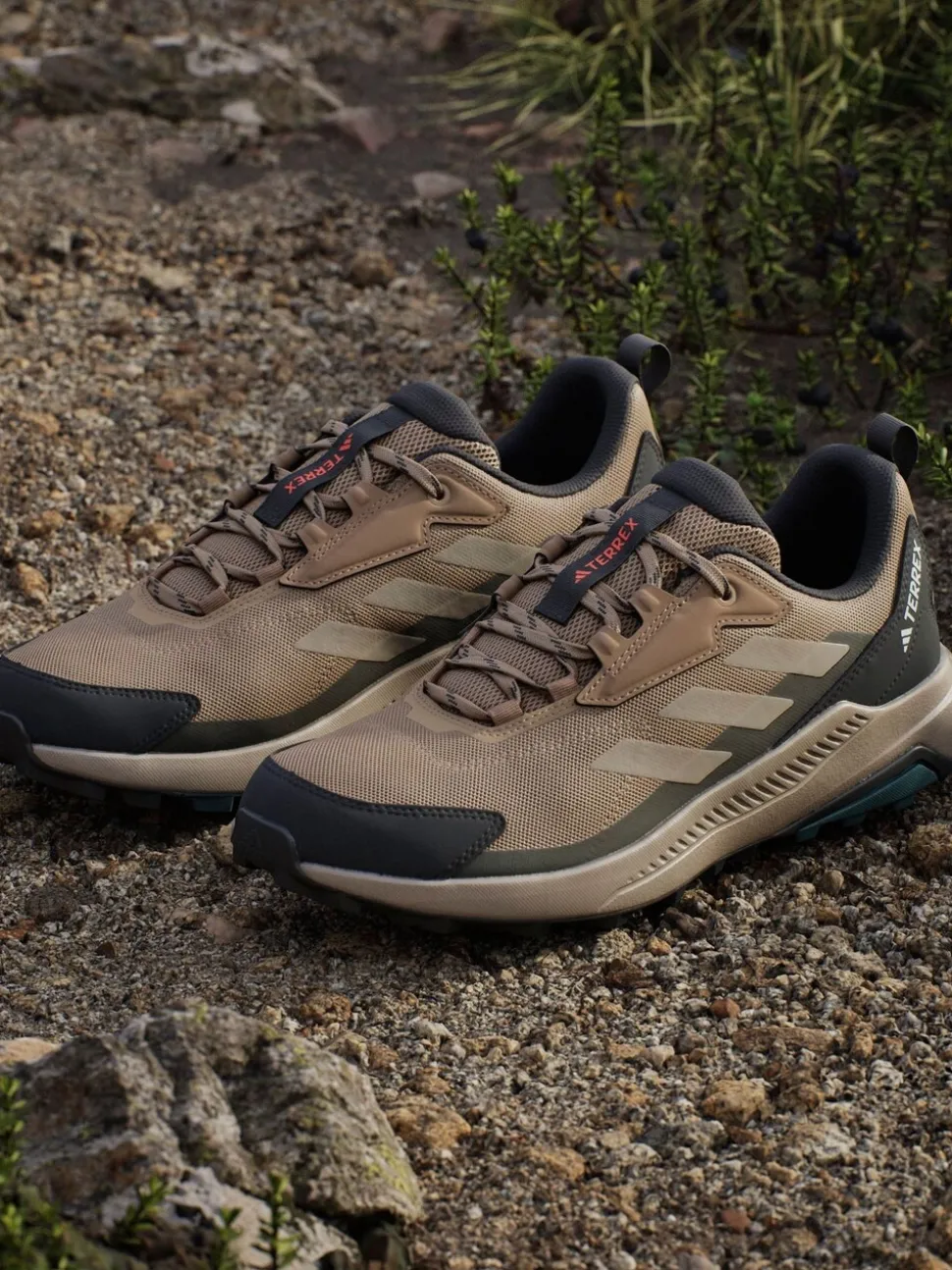 adidas Terrex Brown Anylander Hiking Shoes