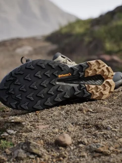 adidas Terrex Cream Trailmaker 2.0 Hiking Shoes
