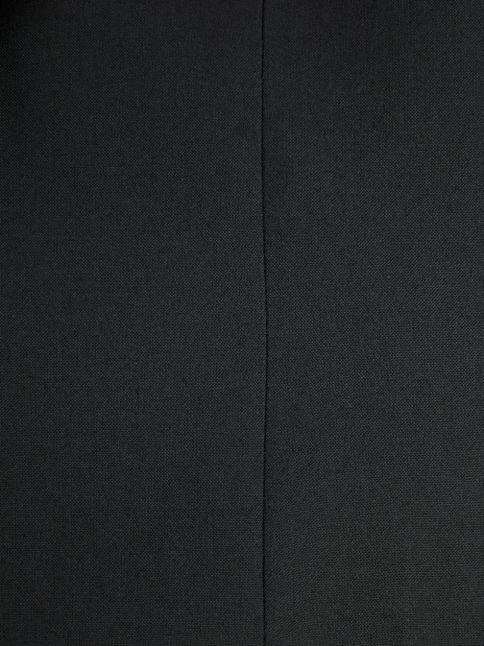 Black Regular Fit Two Button Suit Jacket