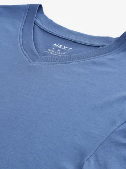 Blue Regular Fit Essential V-Neck T-Shirt