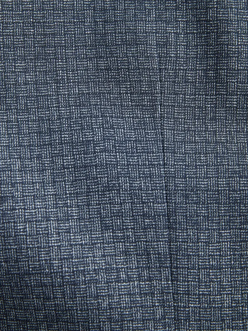 Blue Regular Fit Trimmed Textured Suit Jacket