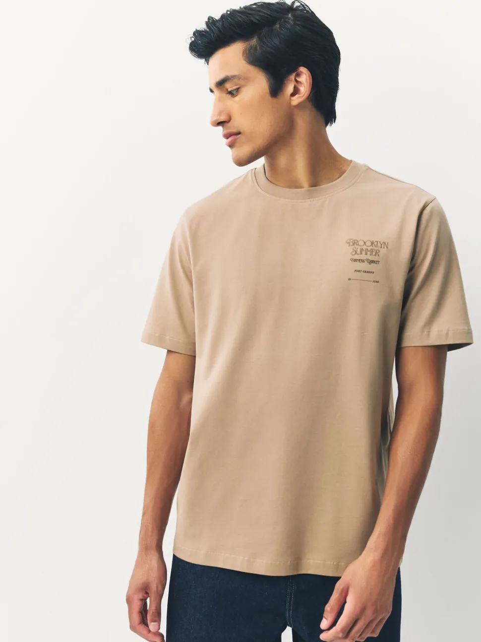 Blue/Green/Neutral Stone Relaxed Fit Graphic Print Heavyweight T-Shirt