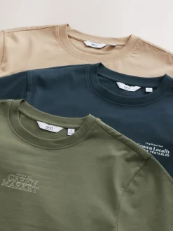 Blue/Green/Neutral Stone Relaxed Fit Graphic Print Heavyweight T-Shirt