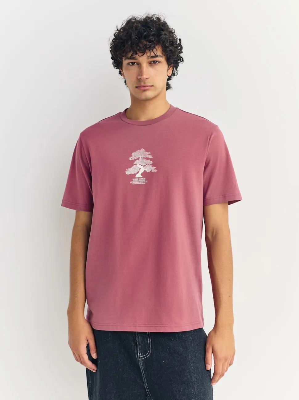 Blue/Green/Pink Regular Fit Graphic Print T-Shirts 3 Pack