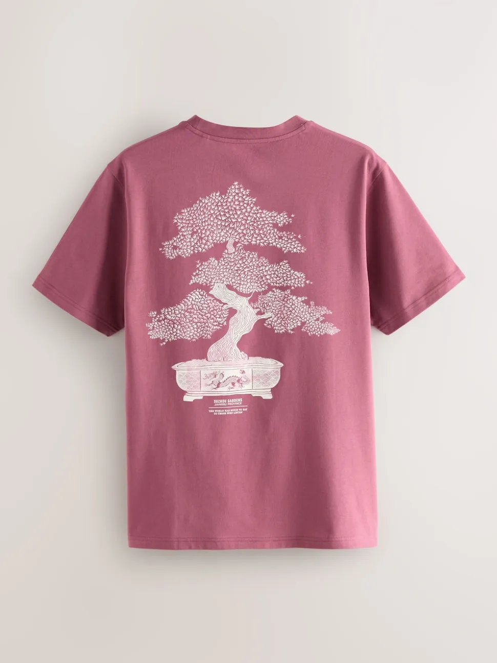 Blue/Green/Pink Regular Fit Graphic Print T-Shirts 3 Pack