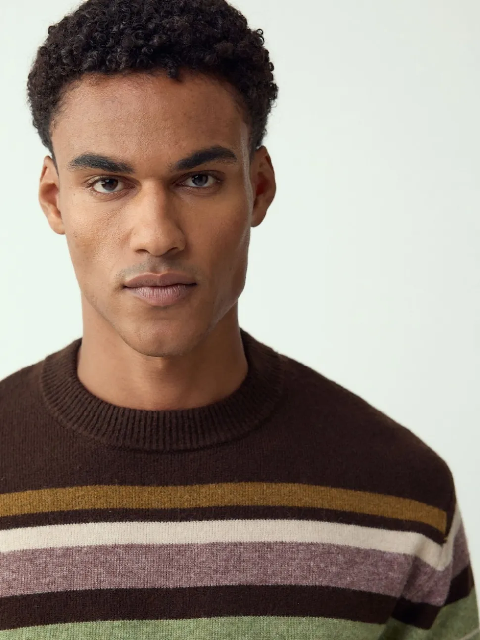 Brown/Sage Green Regular Fit Cosy Stripe Crew Jumper with Wool