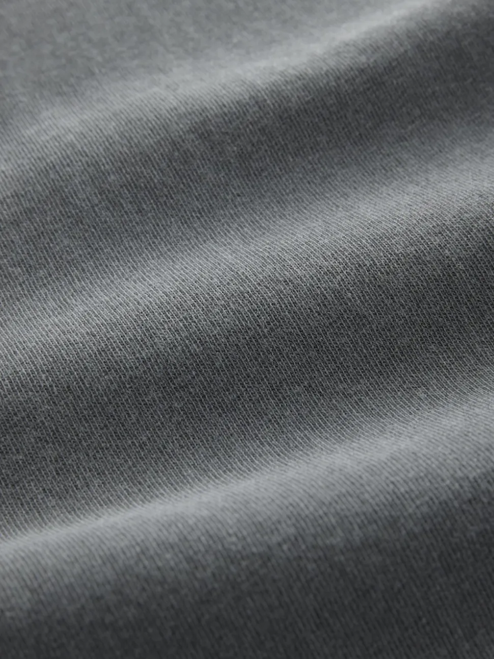 Charcoal Grey Hiroshige Relaxed Fit Artist License T-Shirt