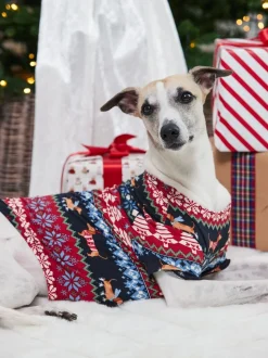 Chelsea Peers Blue Pet Christmas Dog Fair Isle Print Pyjama T-Shirt