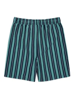 Chelsea Peers Blue Stripe Print Swim Shorts