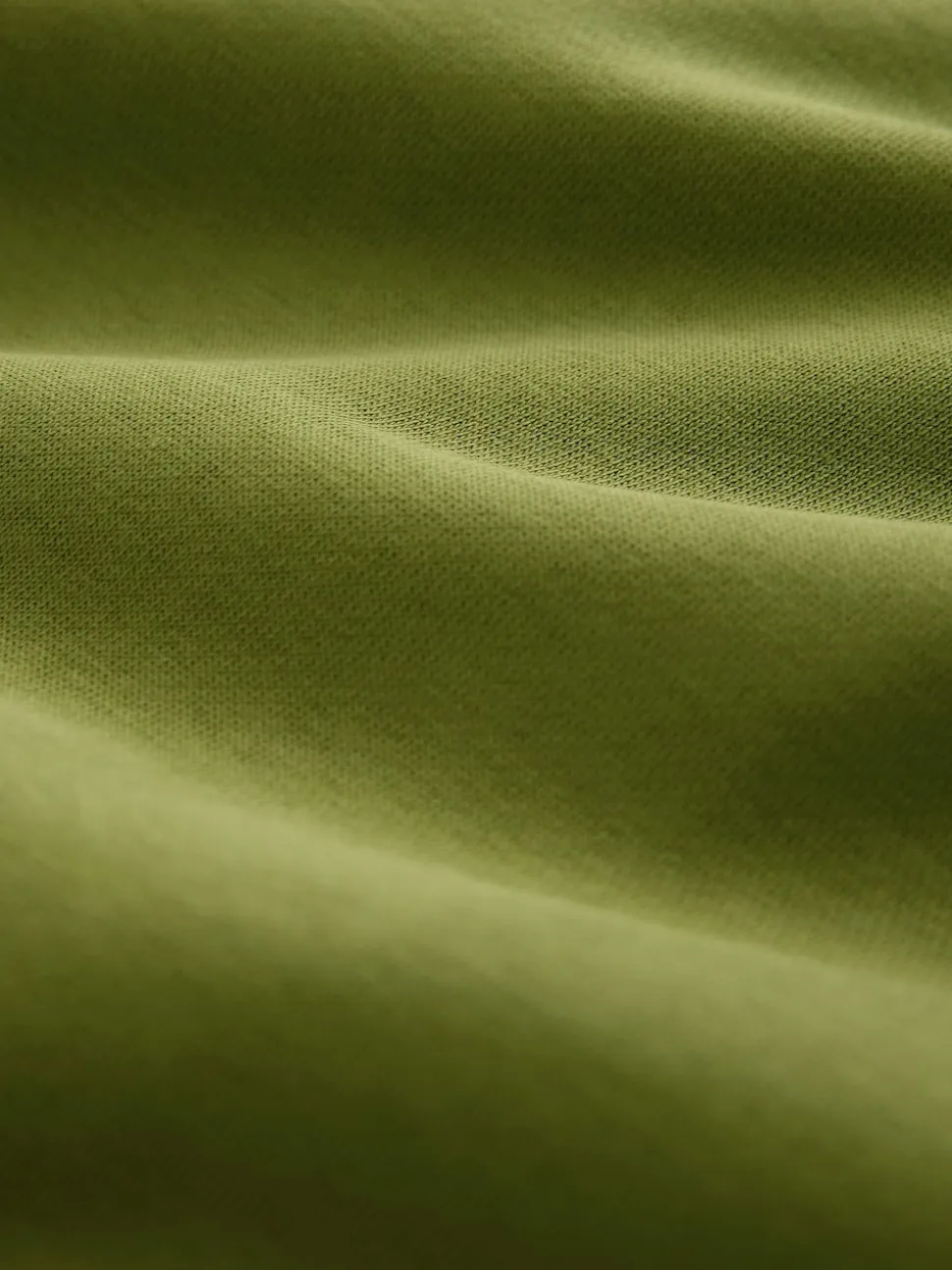 Green Regular Fit Heavyweight Cotton Rich Jersey Hoodie