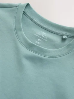 Green Sage Regular Fit Smart Soft Touch Heavyweight T-Shirt