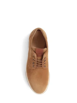 Jones Bootmaker Brown Seaford Suede Trainers