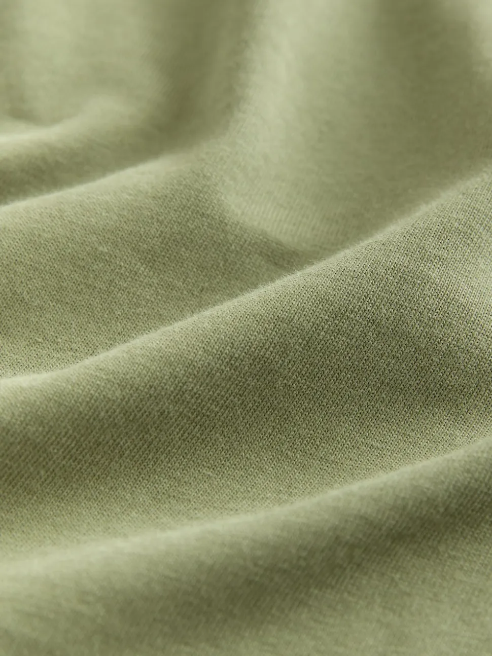 Moss Green Regular Fit Essential Crew Neck Cotton T-Shirt