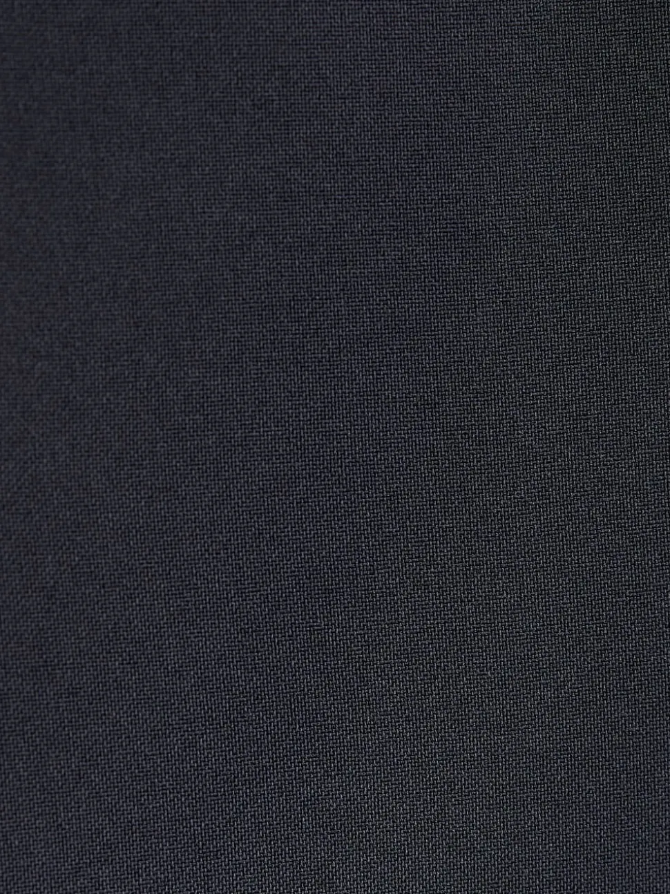 Navy Blue Regular Fit Essential Suit Jacket