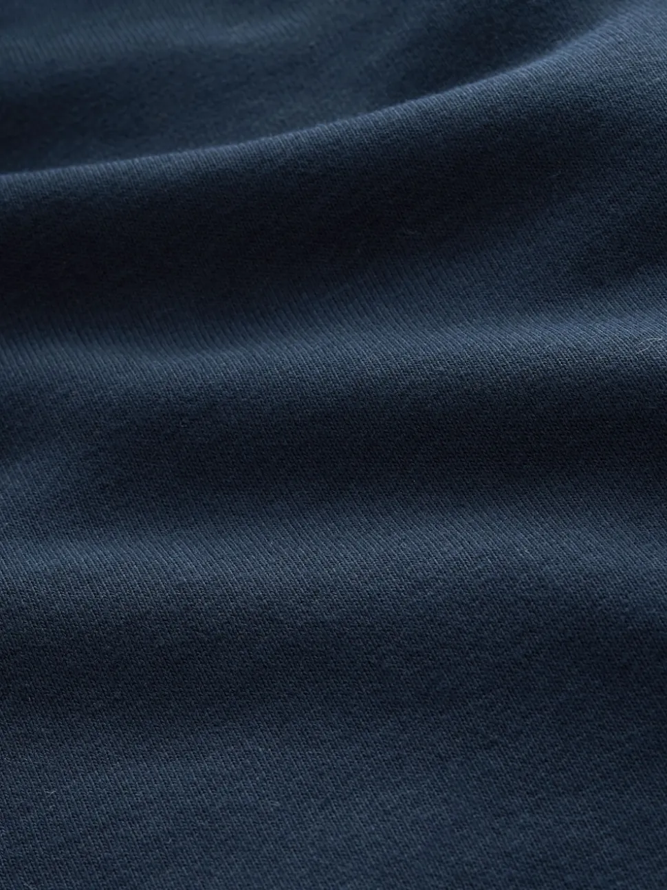 Navy Blue Regular Fit Heavyweight Cotton Rich Jersey Hoodie