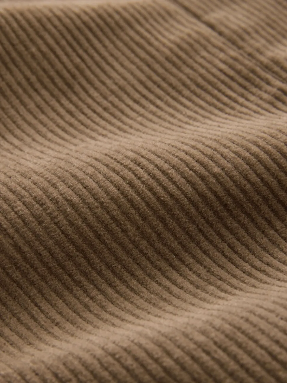 Neutral Brown Regular Fit Cord Blazer