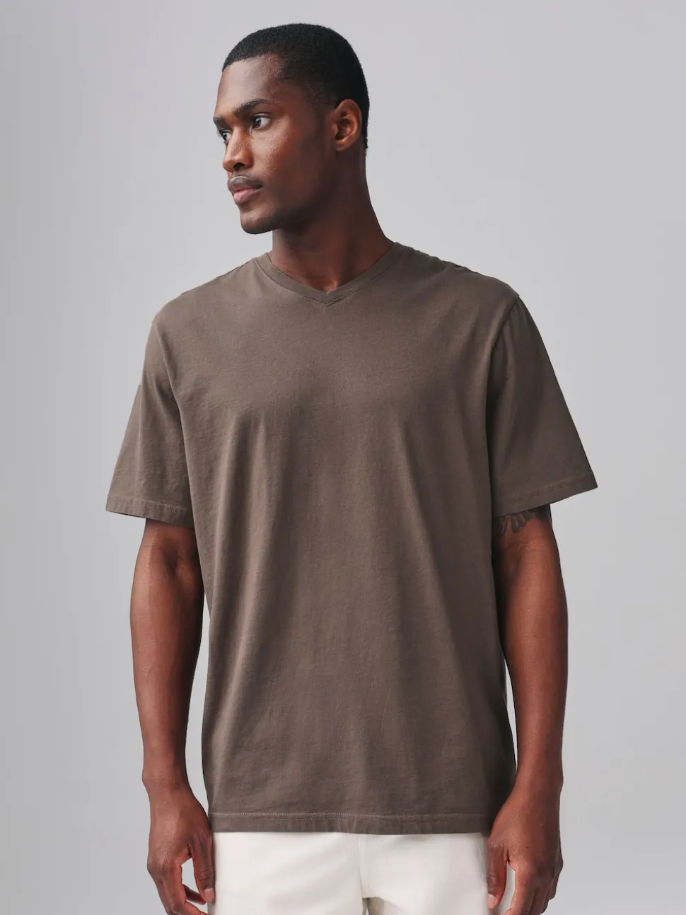 Neutral Brown Regular Fit Essential V-Neck T-Shirt