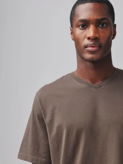 Neutral Brown Regular Fit Essential V-Neck T-Shirt
