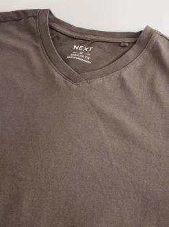Neutral Brown Regular Fit Essential V-Neck T-Shirt