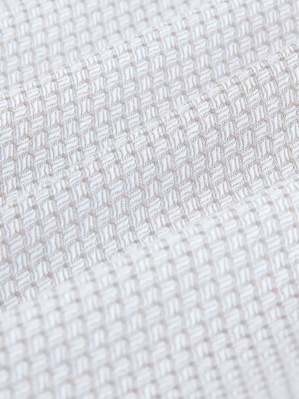 Neutral Regular Fit Textured Long Sleeve Formal Shirt with Trim