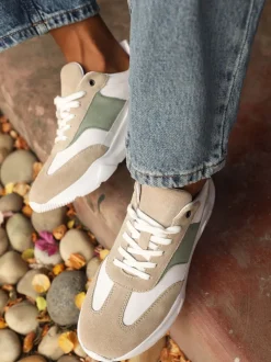 Off The Hook Brown Collins Casual Lace-Up Leather Trainers