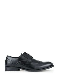 Pavers Black Gents Lace Smart Shoes