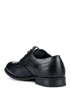Pavers Black Gents Lace Smart Shoes