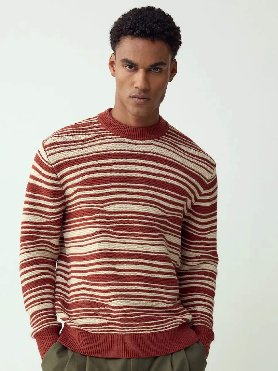 Rust Red Regular Fit Wave Stripe Design Crew Neck Jumper