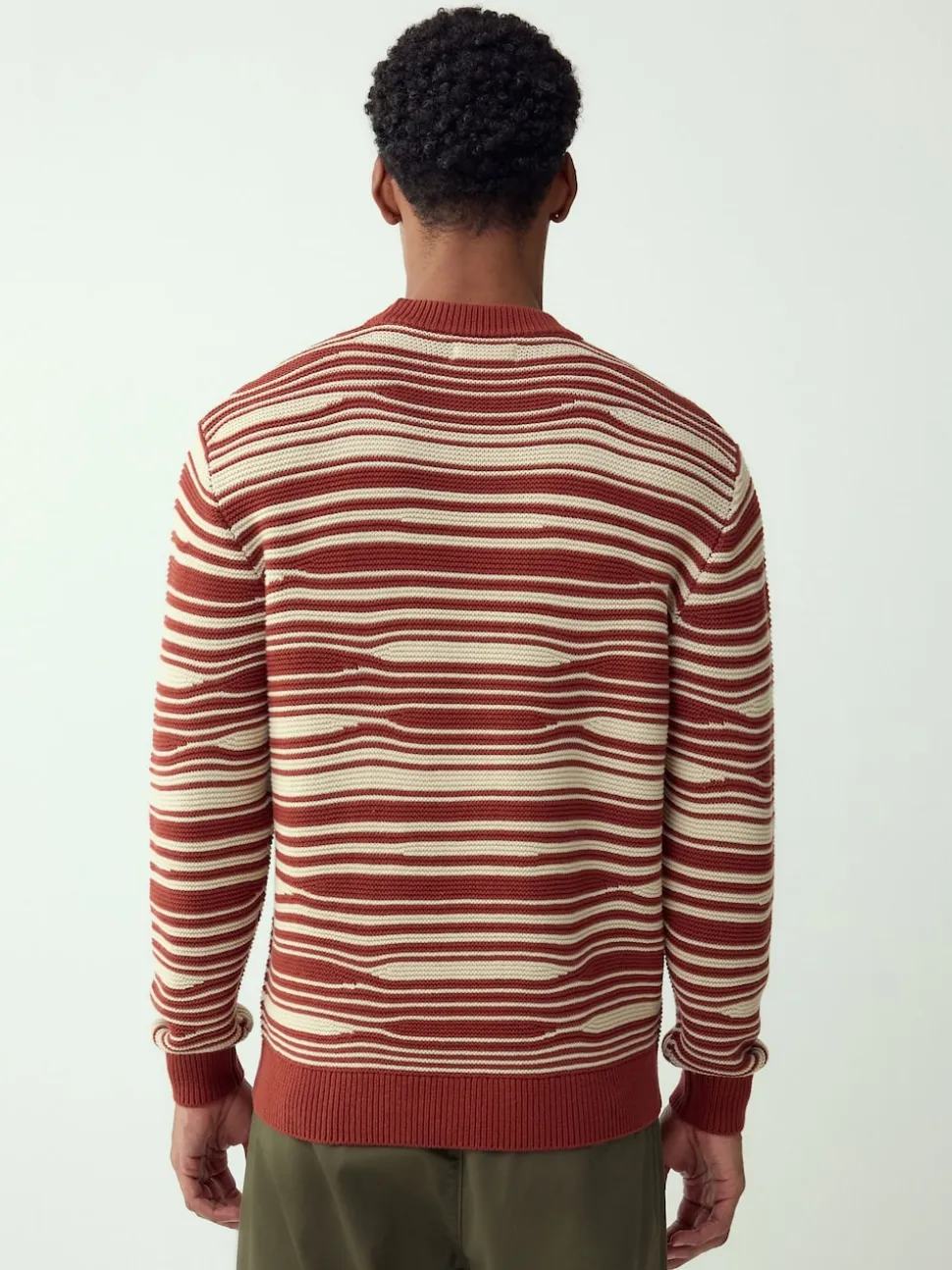 Rust Red Regular Fit Wave Stripe Design Crew Neck Jumper