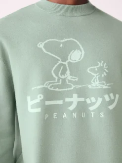 Sage Green Relaxed Fit Snoopy Graphic Print Crew Neck Jumper