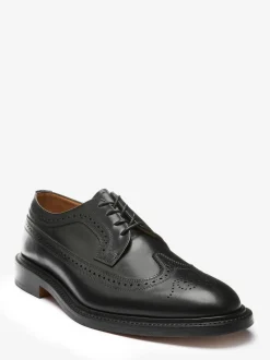 Sanders For Next Brogue Shoe