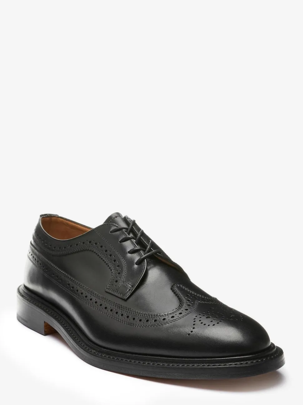 Sanders For Next Brogue Shoe