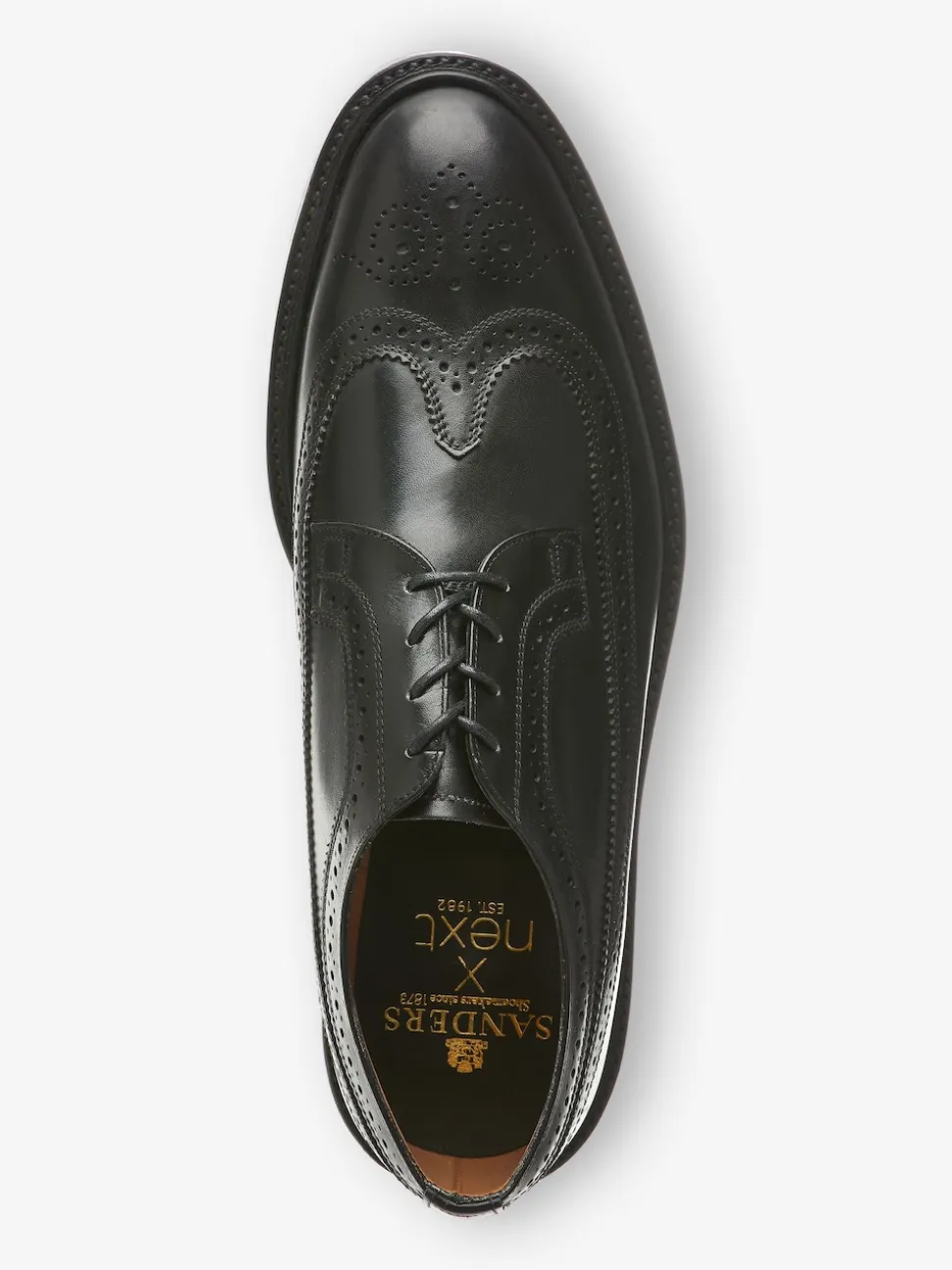 Sanders For Next Brogue Shoe