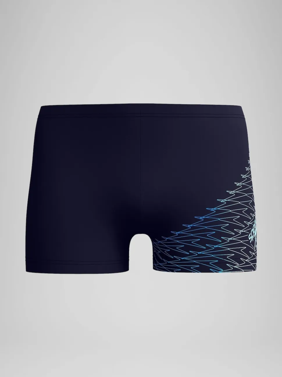 Speedo Blue Medley Logo Aqua Shorts