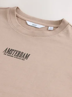 Stone Relaxed Fit Graphic Print Heavy Weight T-Shirt