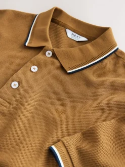 Tan Brown Regular Fit Short Sleeve Tipped Polo Shirt