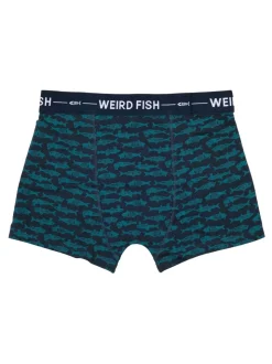 Weird Fish Blue Ashridge Boxer Shorts 3 Pack