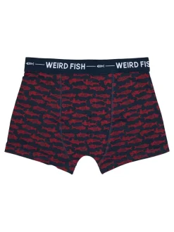 Weird Fish Blue Ashridge Boxer Shorts 3 Pack